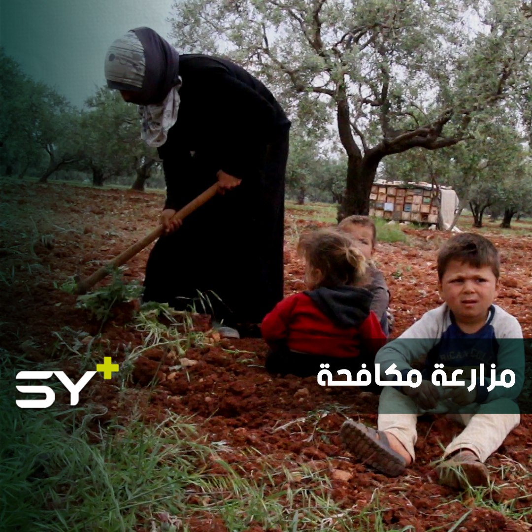 مها أم محمود.. مزارعة وربّة منزل تكافح من أجل حياة أسرتها