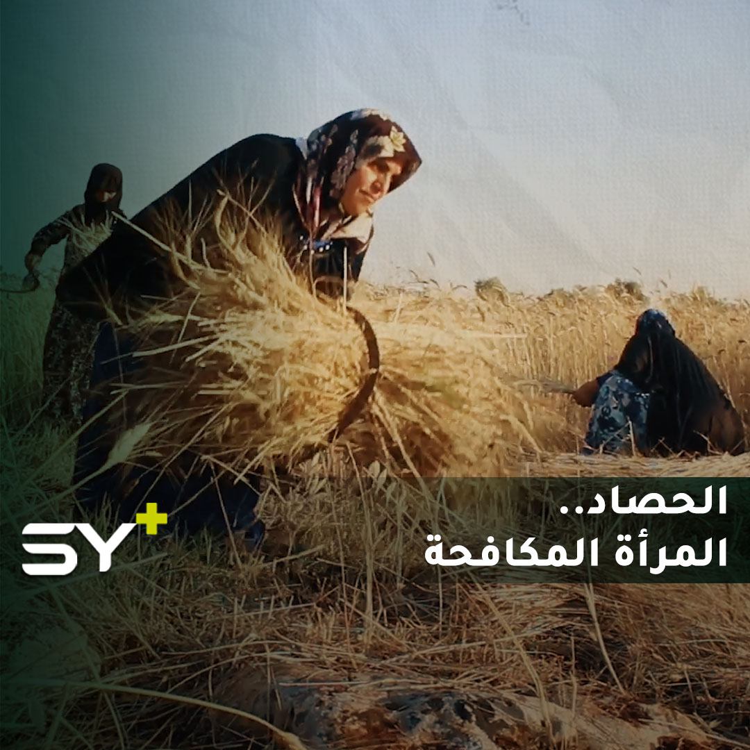 مهنة شاقة تعمل بها أم محمد لتؤمن معيشتها بعد أن نزحت من ريف إدلب الجنوبي