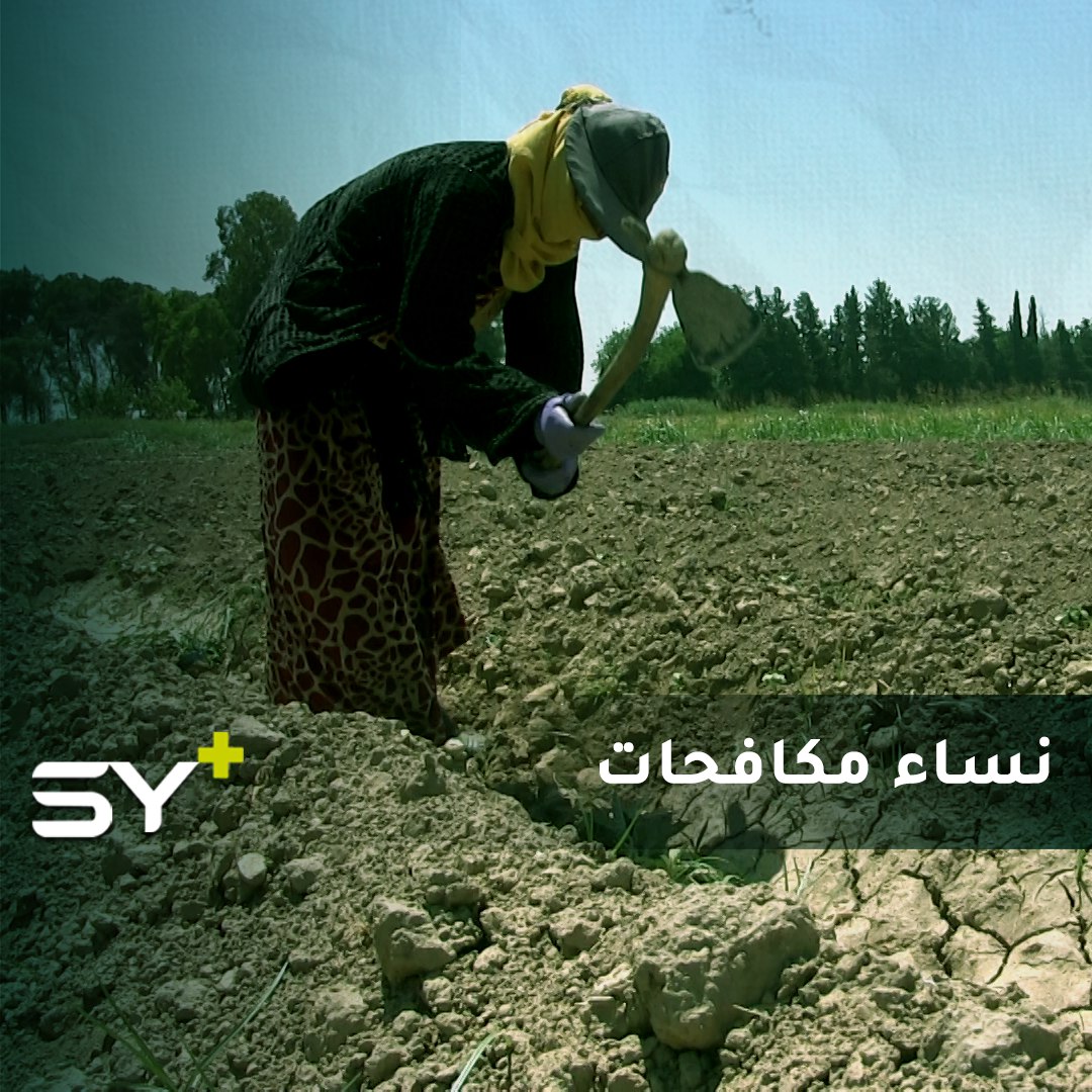 رغم الأجور المتدنية.. نساء يعملن بالزراعة تحت حرّ الشمس في الرقة لتأمين قوت عوائلهن