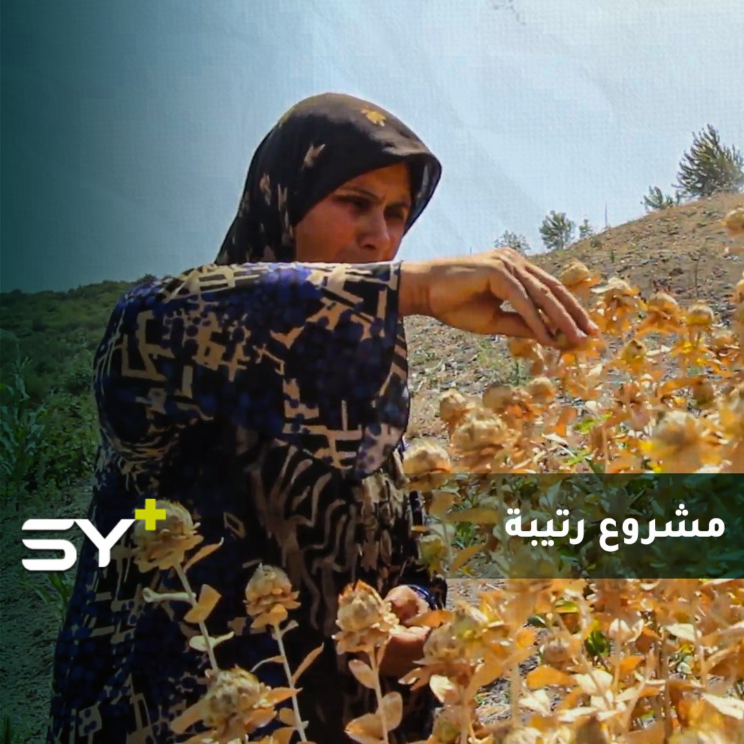 رتيبة حسون نازحة أصلحت أرضاً بجانب خيمتها.. زرعتها بأنواع متعددة من الخضار الصيفية