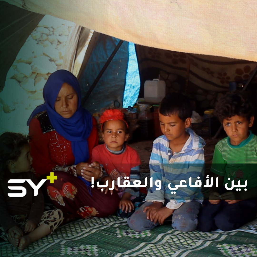 على التراب وبين الصخور.. فطيم الجاسم تقاسي الحياة برفقة أولادها السبعة!