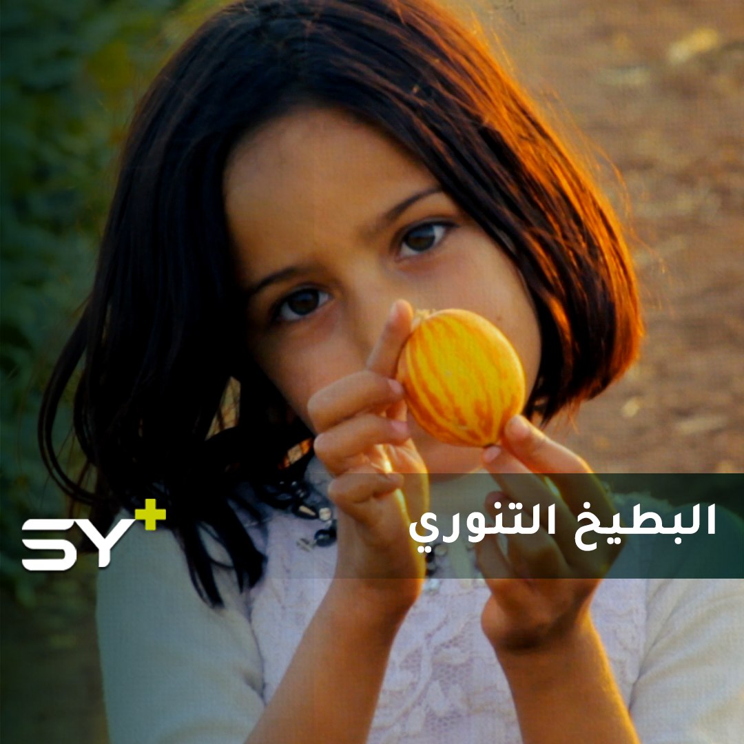 هذا البطيخ شكله غريب جداً لا يعرفه غالبيتكم.. ولا يُزرع إلا في هذه المنطقة.. تعرّفوا إليه في التقرير