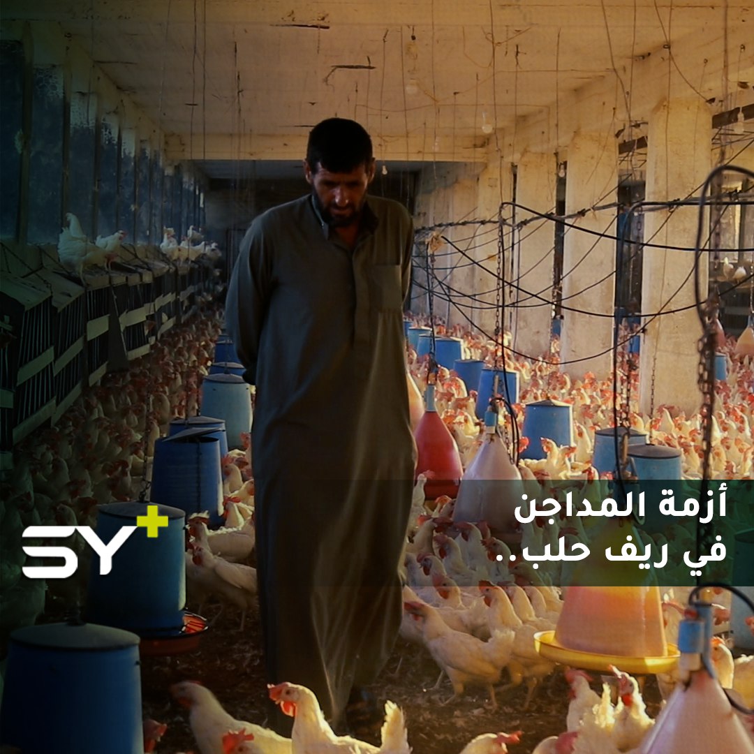 تشتهر مدينة الباب بكثرة المداجن سابقاً.. أغلق معظمها اليوم بسبب الظروف الاقتصادية وغلاء المواد الأولية