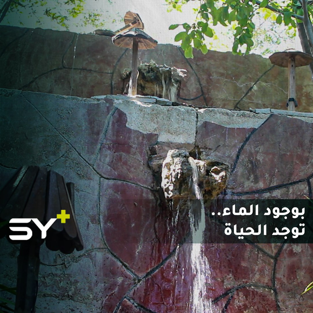 يُسمى “حوش المنزل” والبعض يسميه “حاكورة”.. حكمت موسى حوّل فناء منزله إلى منتزه ينعم بالحياة ويقصده الزوّار للترويح عن النفس