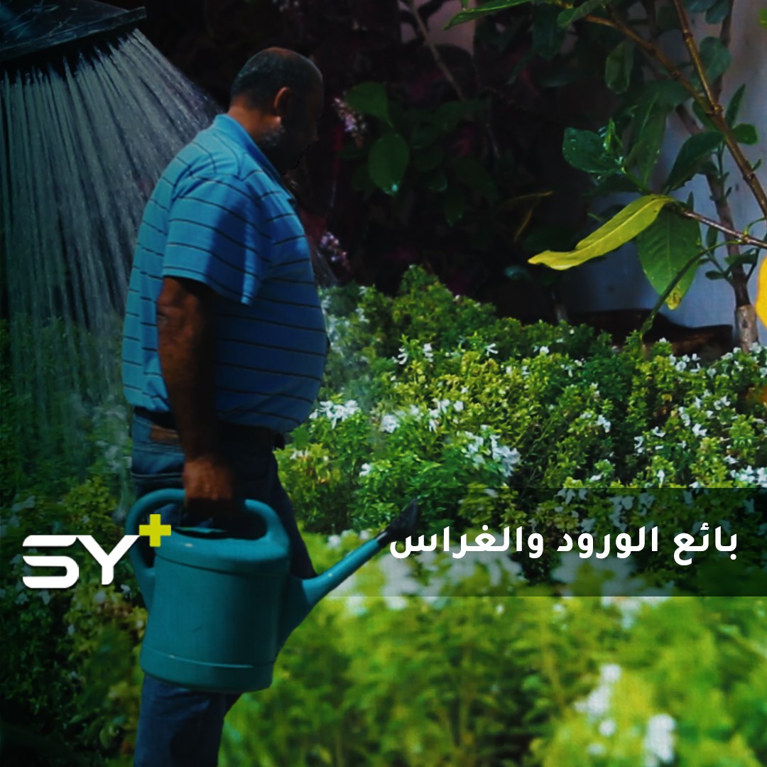 أحمد المسطو.. مزارع ينشئ مشتله الخاص في مكان نزوحه