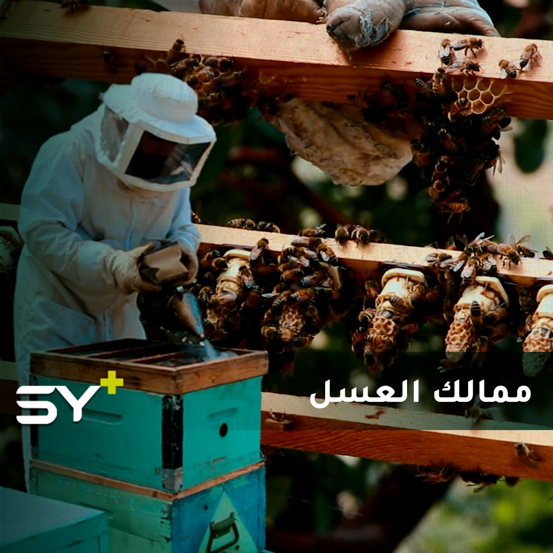 حسين حسن.. نحّال تعلم مهنته وطورها عن طريق الإنترنت