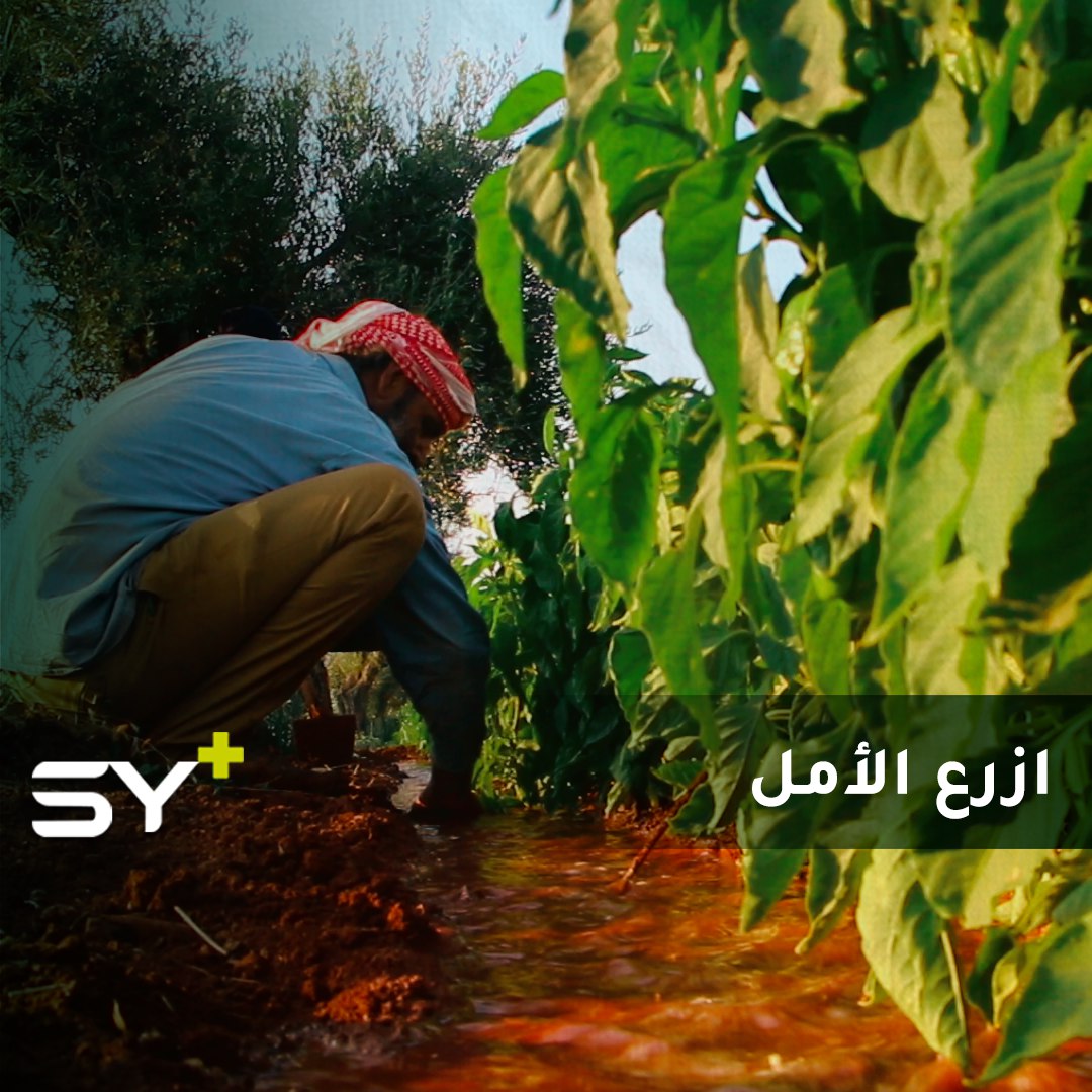 لم يستسلم لمصاعب النزوح فاستأجر أرضاً وزرعها ليعيش منها