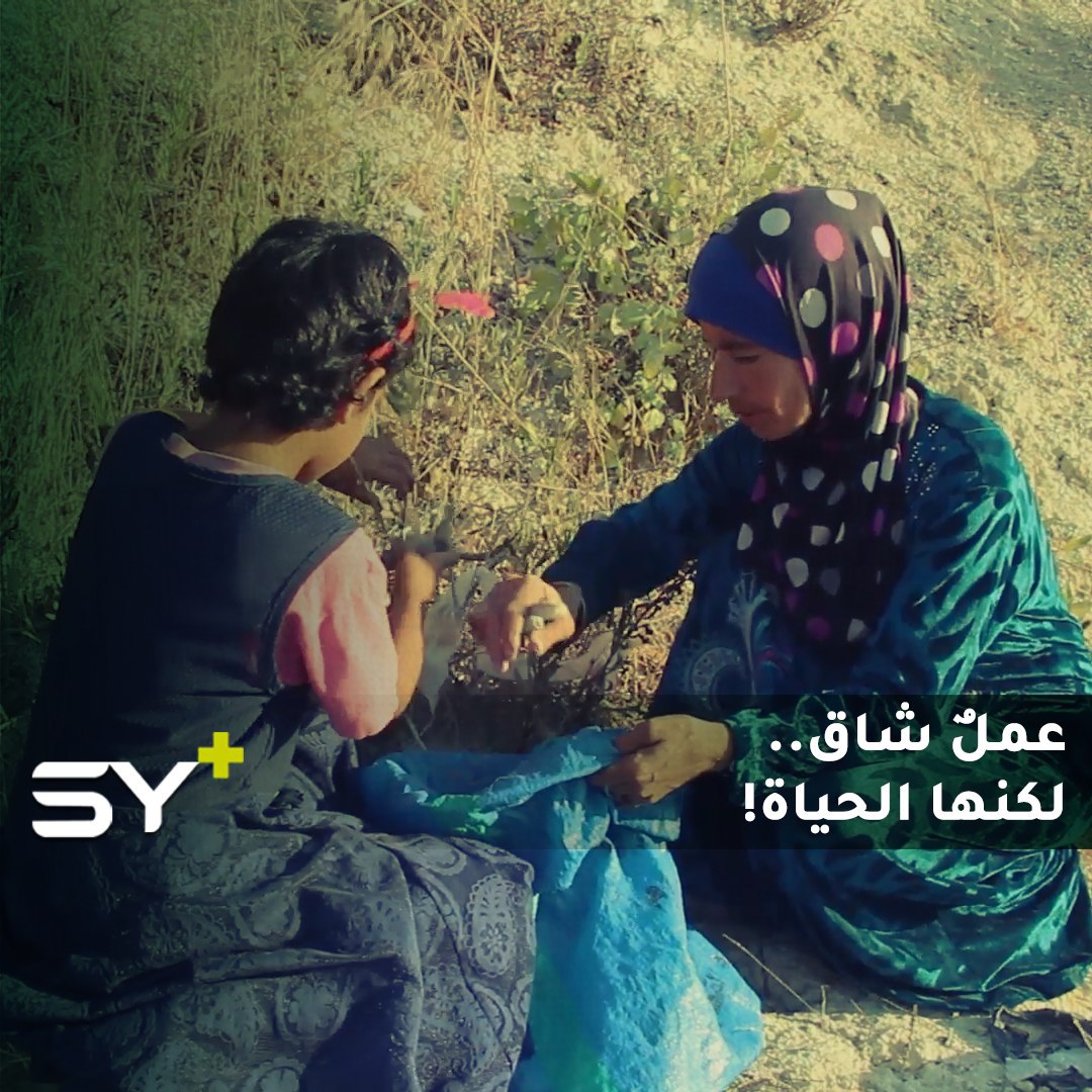 سيدة تعمل في الجبال لتعيل أطفالها الأيتام.. تابعوا قصتها