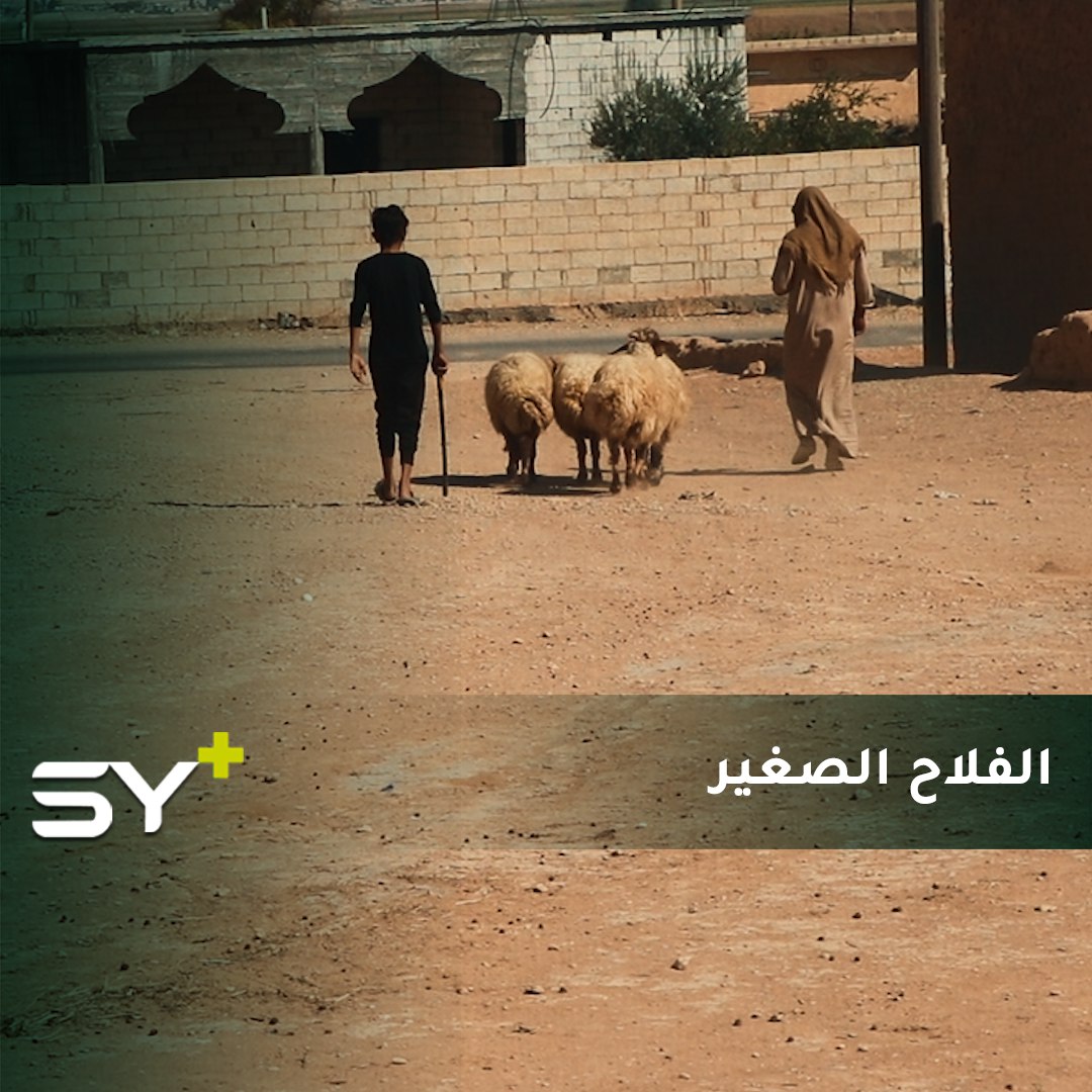 جيلٌ من الأميين يكبر في سوريا.. إبراهيم ترك مدرسته منذ 7 سنوات ليقوم بأعمال الكبار