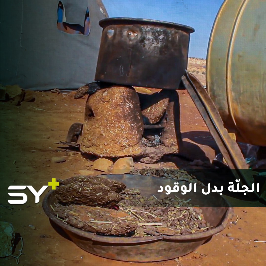 في ظل ارتفاع أسعار المحروقات يلجأ سكان مخيمات كفرعروق إلى استبدالها بالجلّة.. فماذا تعرف عنها؟