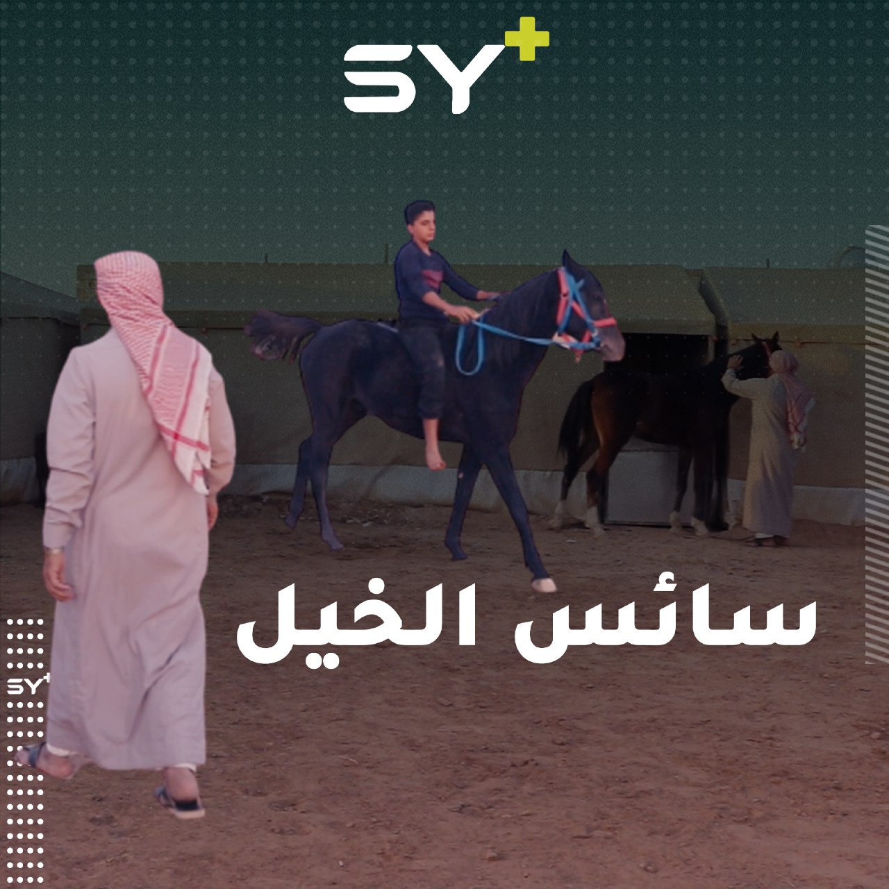 يعتني شمس الدين بالخيول في مكان نزوحه بمدينة الطبقة بالرغم من الظروف المعيشية الصعبة