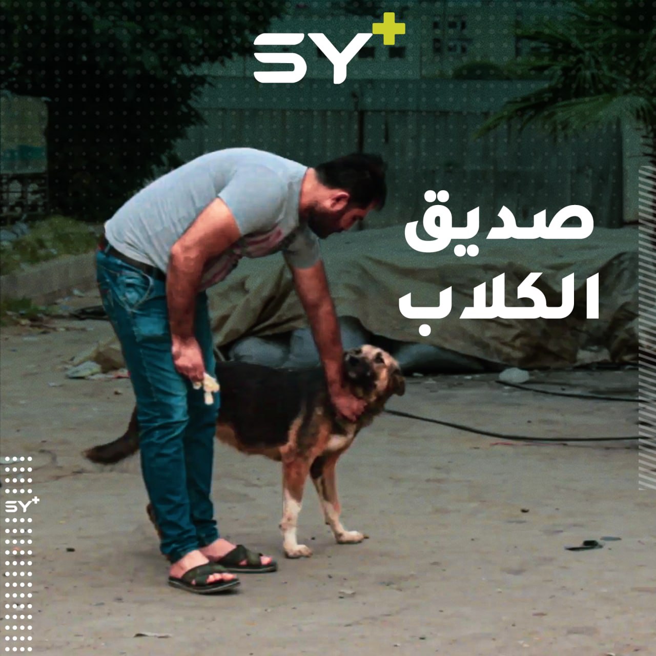 لدى سامر من مدينة القامشلي هواية في إطعام الكلاب الشاردة حتى أصبح صديقاً لها