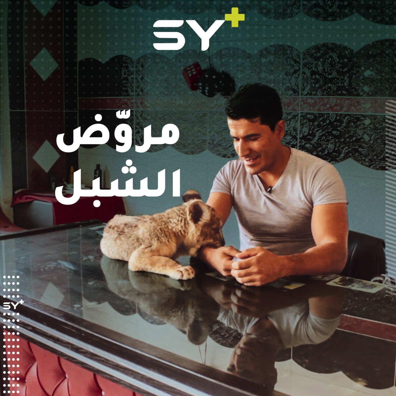 صديقه المفضل.. رشيد شاب من الحسكة يقتني شبل أسد ويربيه ويرافقه إلى عمله.. ماذا عن تجربتكم مع الحيوانات؟