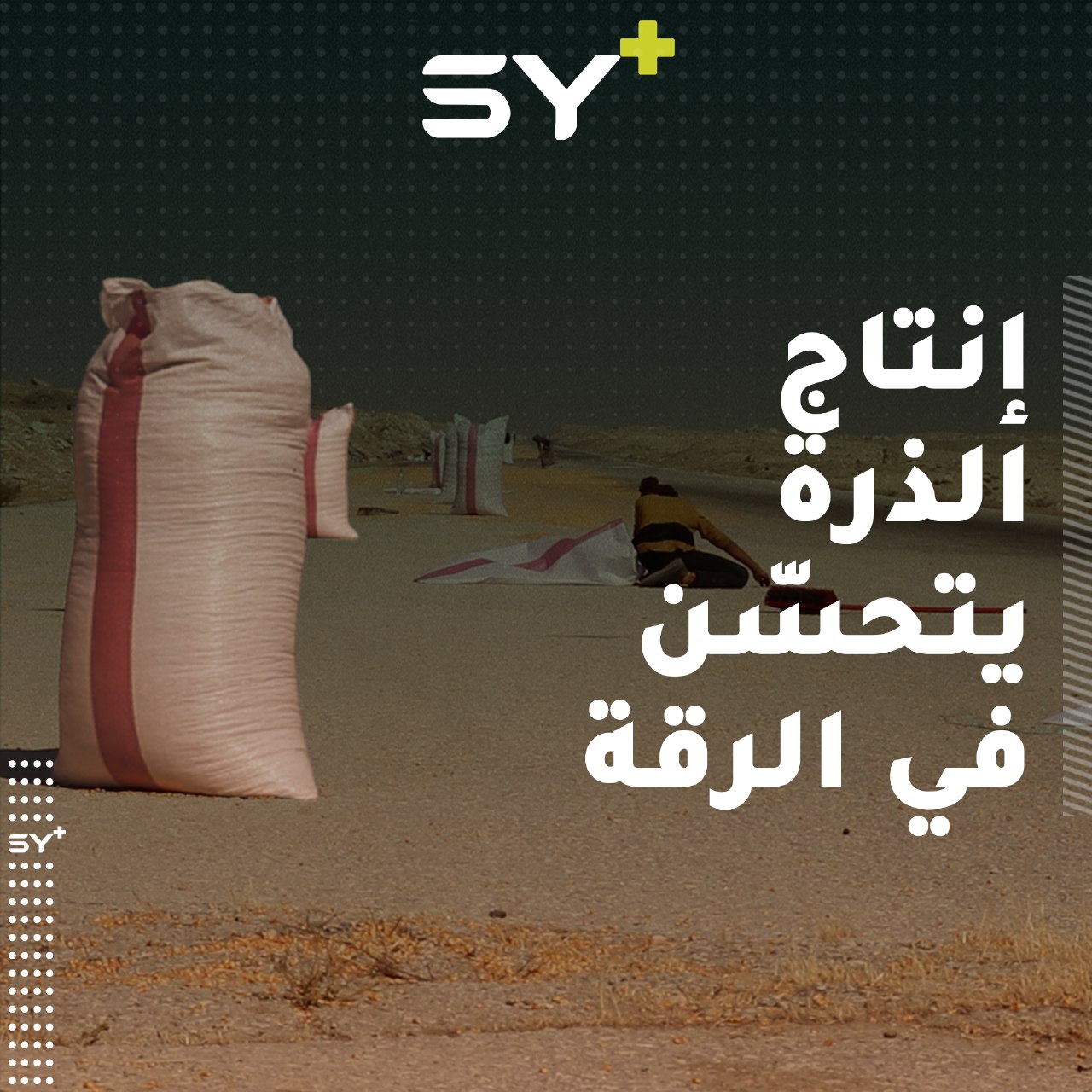 إعادة تأهيل مجفف الذرة الصفراء في مدينة الرقة لتخفيف العبء عن الفلاحين