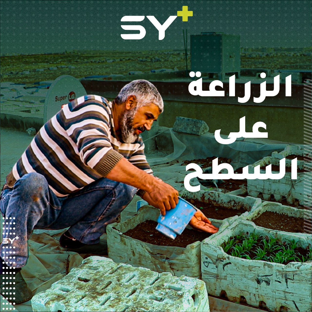 ميسر العلي نازح من قلعة المضيق استثمر سطح منزله بزراعة بعض الخضروات بهذه الفكرة الجديدة