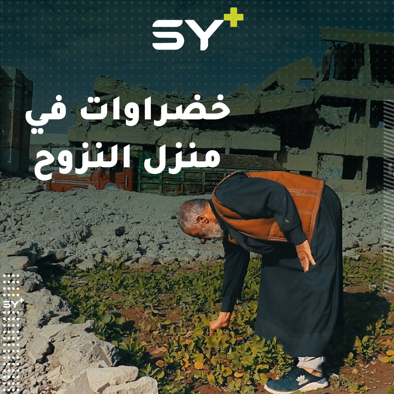 نازح من دير الزور يزرع الخضروات الشتوية في حديقة المنزل الذي يقيم فيه بمدينة الرقة