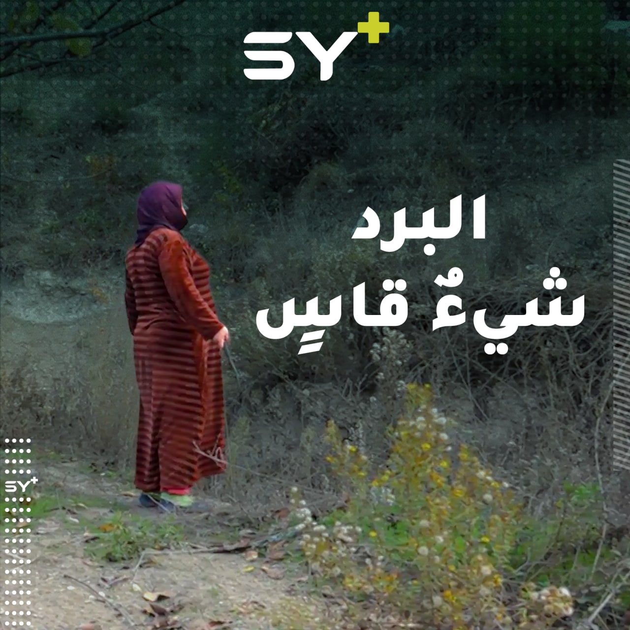 رمزة خليل.. تقضي معظم وقتها في البحث عن الحطب لتمنع البرد من أن يتسلل إلى جسد أمها النحيل.. تابعوا قصتها