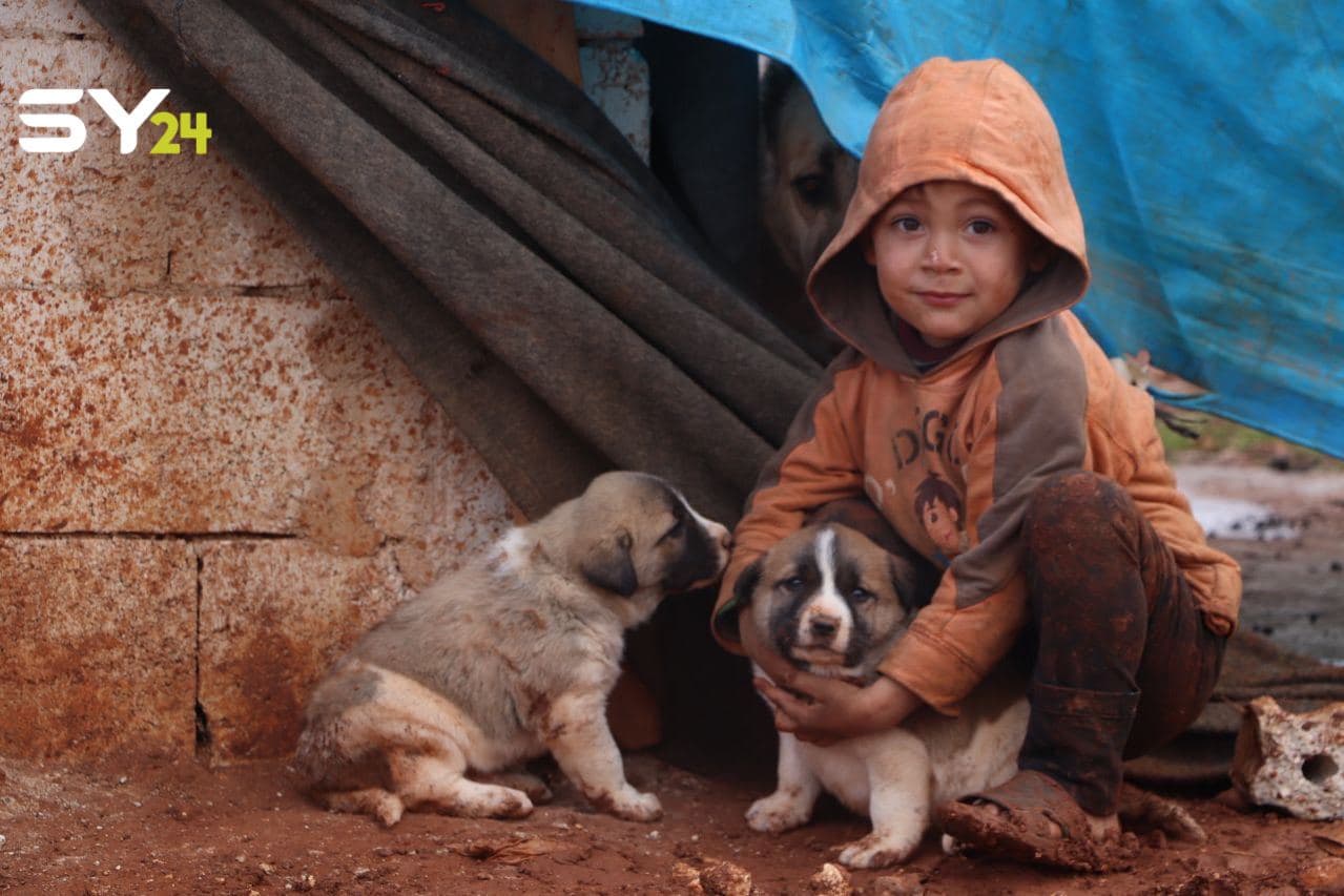 العاصفة المطرية سببت أضرارا كبيرة في مخيمات الشمال السوري (صور)