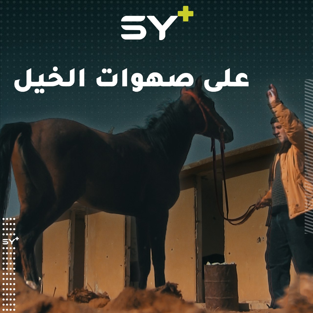 حسام الدين مطر من الرقة، فارسٌ قديم تحول إلى مربي خيول ورثها هوايةً عن أجداده