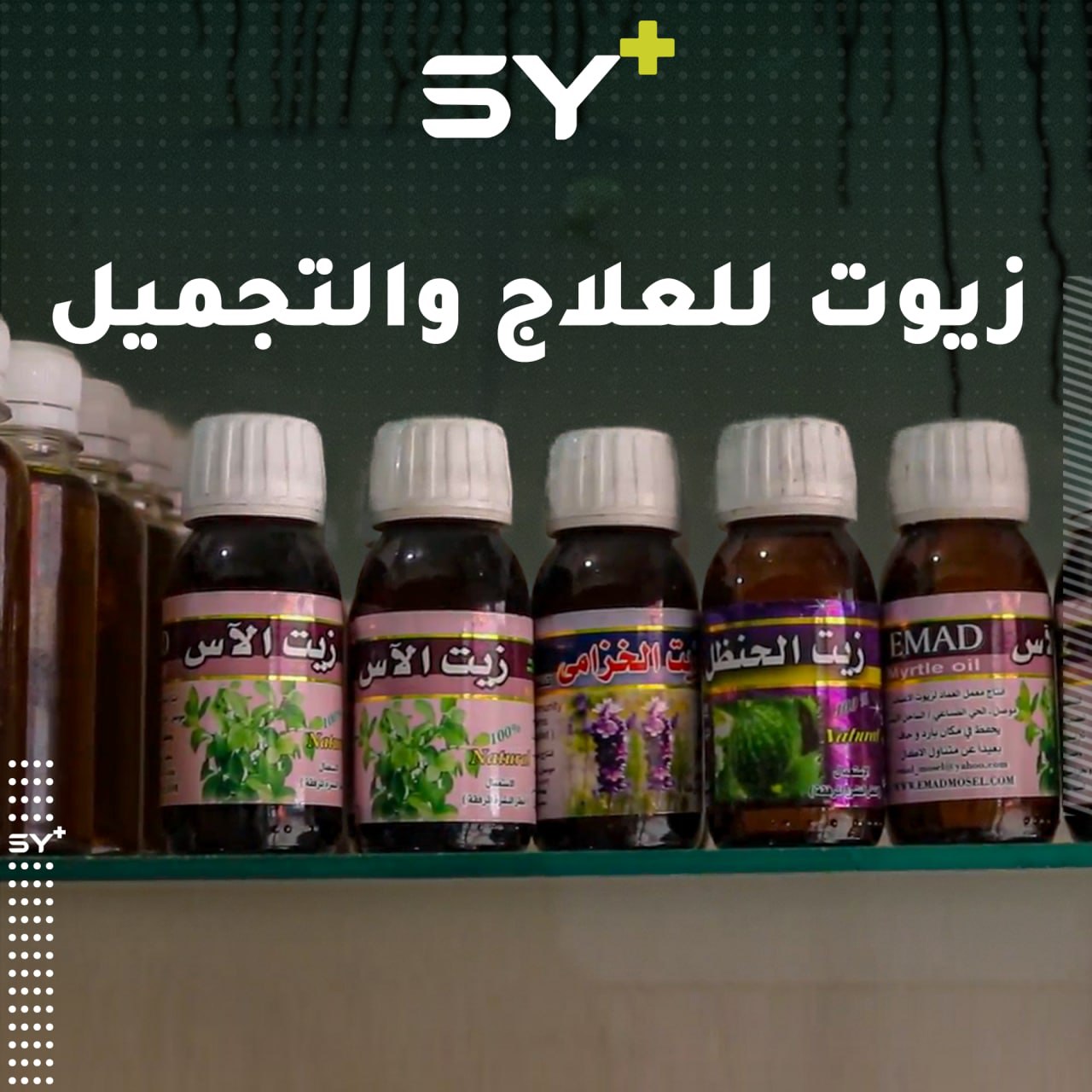 فرج الخضر مهندس زراعي يوظف خبرته في استخراج زيوت طبيعية للعلاج والتجميل