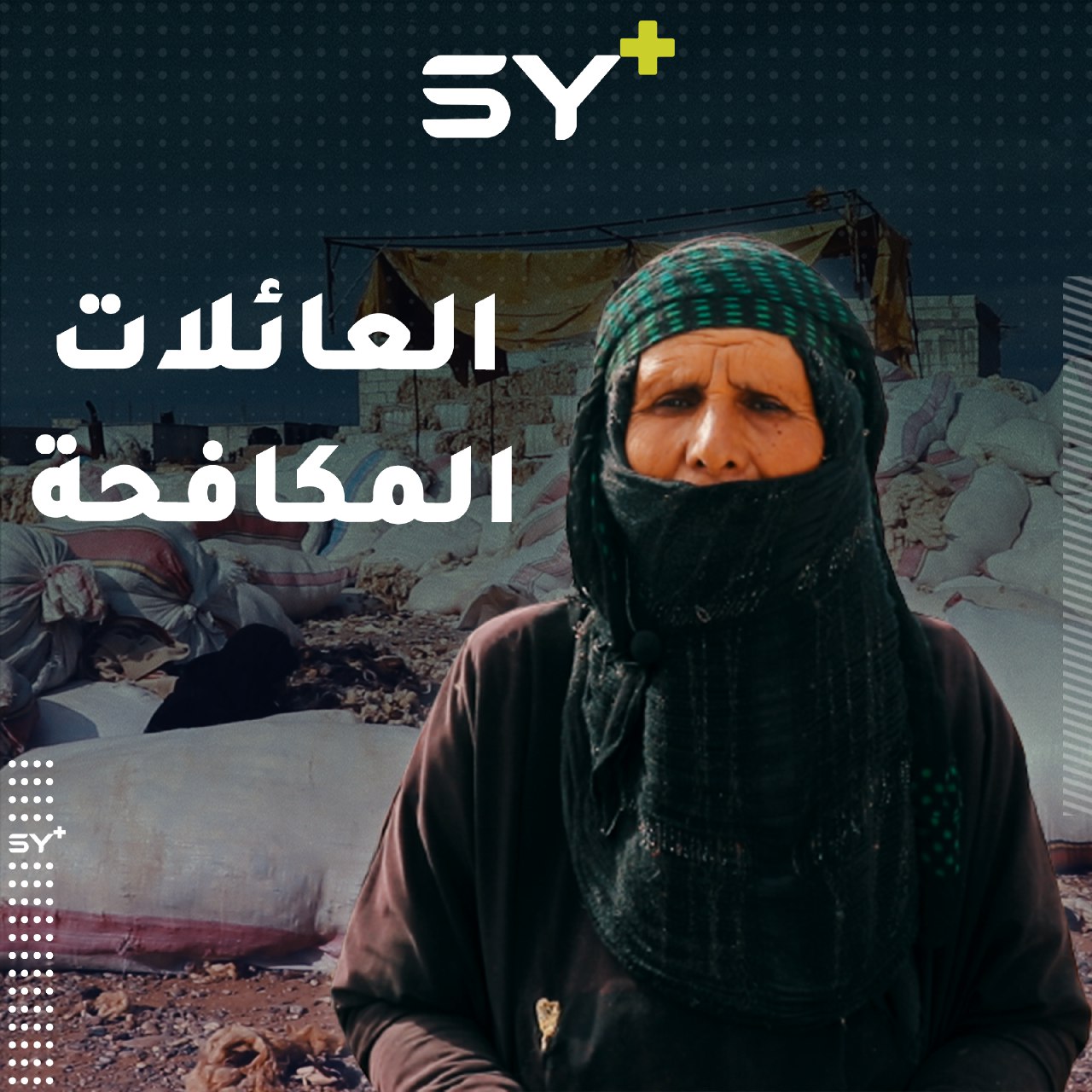 فرص عمل متواضعة حصلت عليها عائلات تعمل في تجهيز الصوف قبل تصديره في الرقة