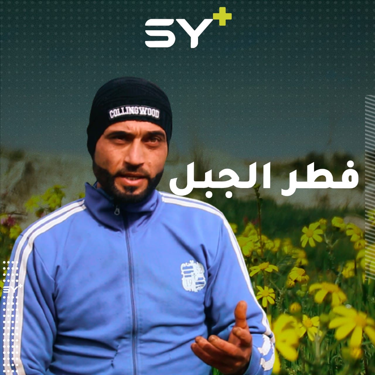 ماذا تعرف عن الفطر؟ أحمد عثمان لديه خبرة في أنواعه وأماكن تواجده.. تابعوا تفاصيل عمله