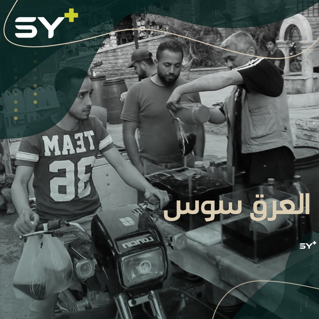 السوس من أشهر المشروبات في شهر رمضان.. تعرفوا إلى مصدره وأهم فوائده