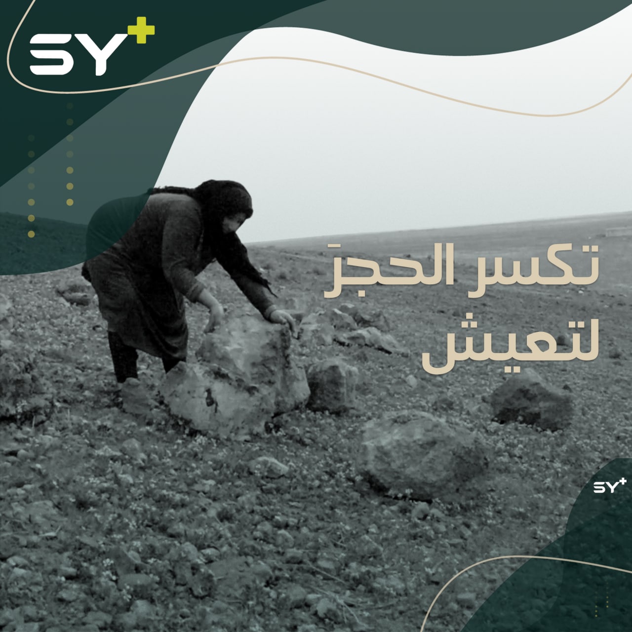 “13 عاماً بتكسير الحجارة”.. أم أحمد ولقمة من قلب الصخر لتعيل أطفالها الأيتام