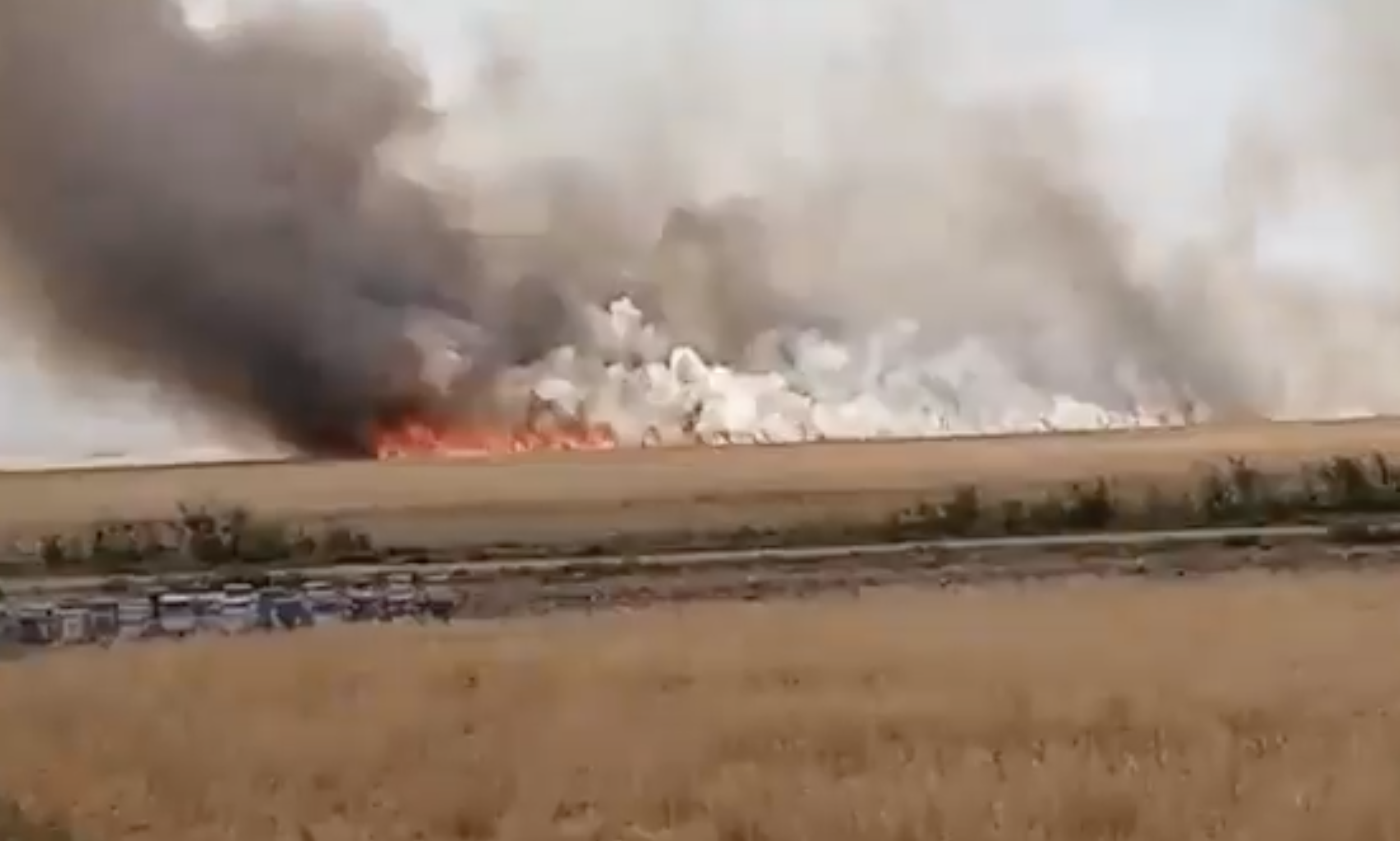 النظام يحرق المحاصيل بريف حماة.. ومصدر يوضح بالأرقام حجم الخسائر