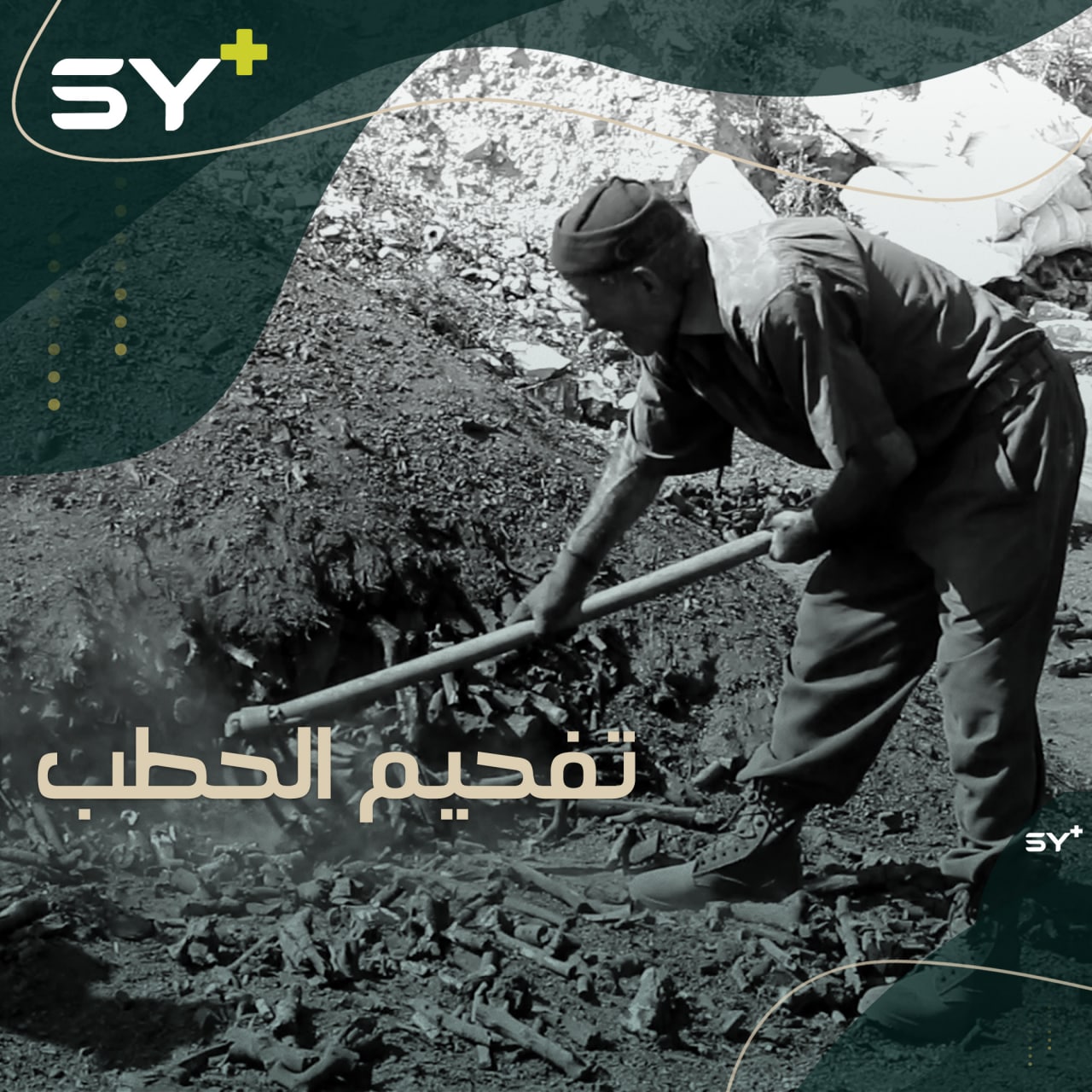 تحويل الحطب إلى فحم.. مهنة ترافق أبو إياد في مكان نزوحه