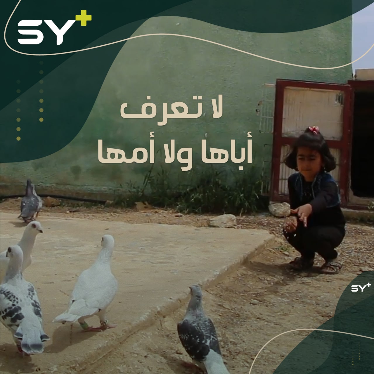 شيراز طفلة مريضة لا تعرف سوى جدتها.. فقدت أبيها وأمها بعمر 8 أشهر