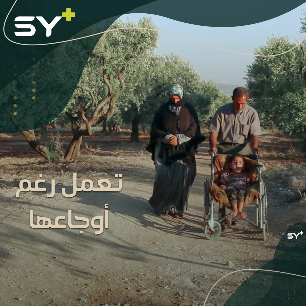 أم مصطفى تعمل بجمع بقايا المحلب لتأمين احتياجات ثلاثة أطفال مرضى!