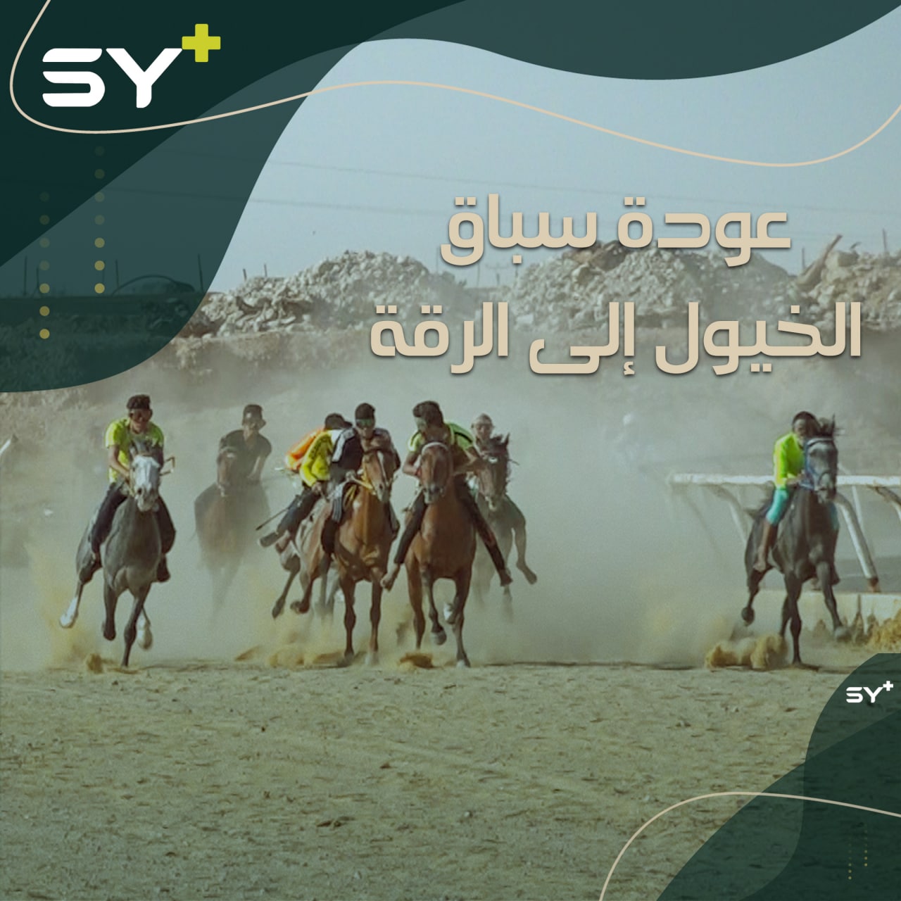 بعد انقطاع دام عشر سنوات، تعود سباقات الخيول العربية الأصيلة إلى الرقة