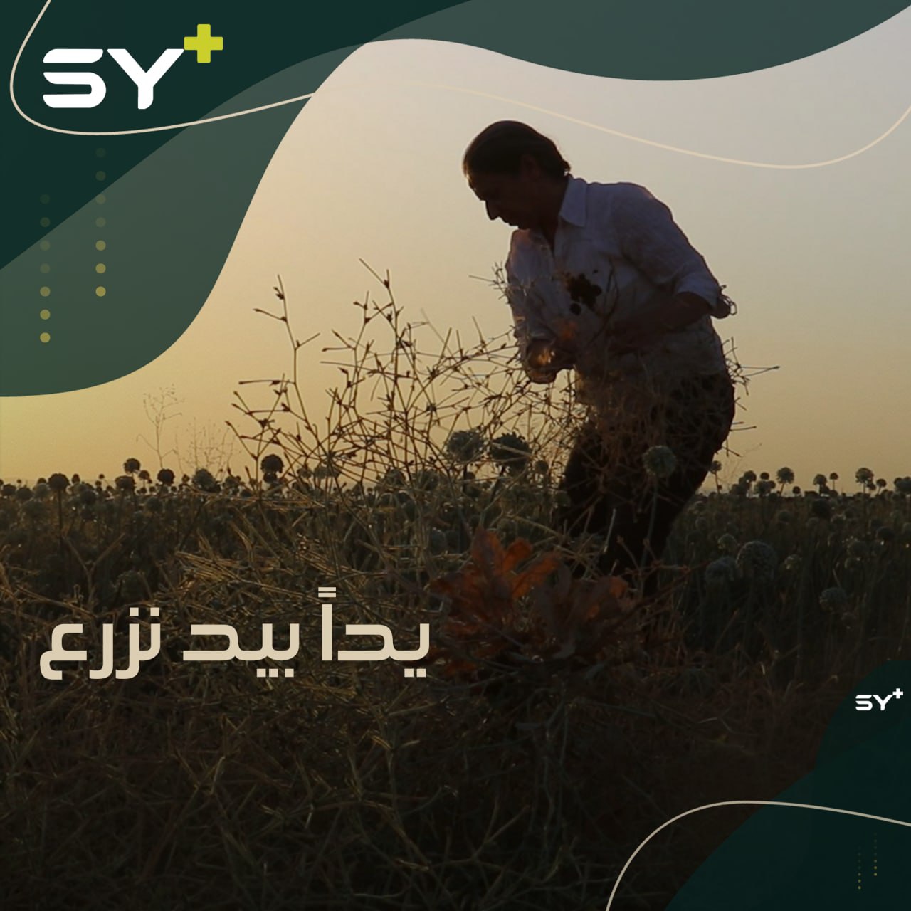 سيدة من الحسكة تطلق مشروعها الزراعي وتوفر فرص عمل للعائلات النازحة