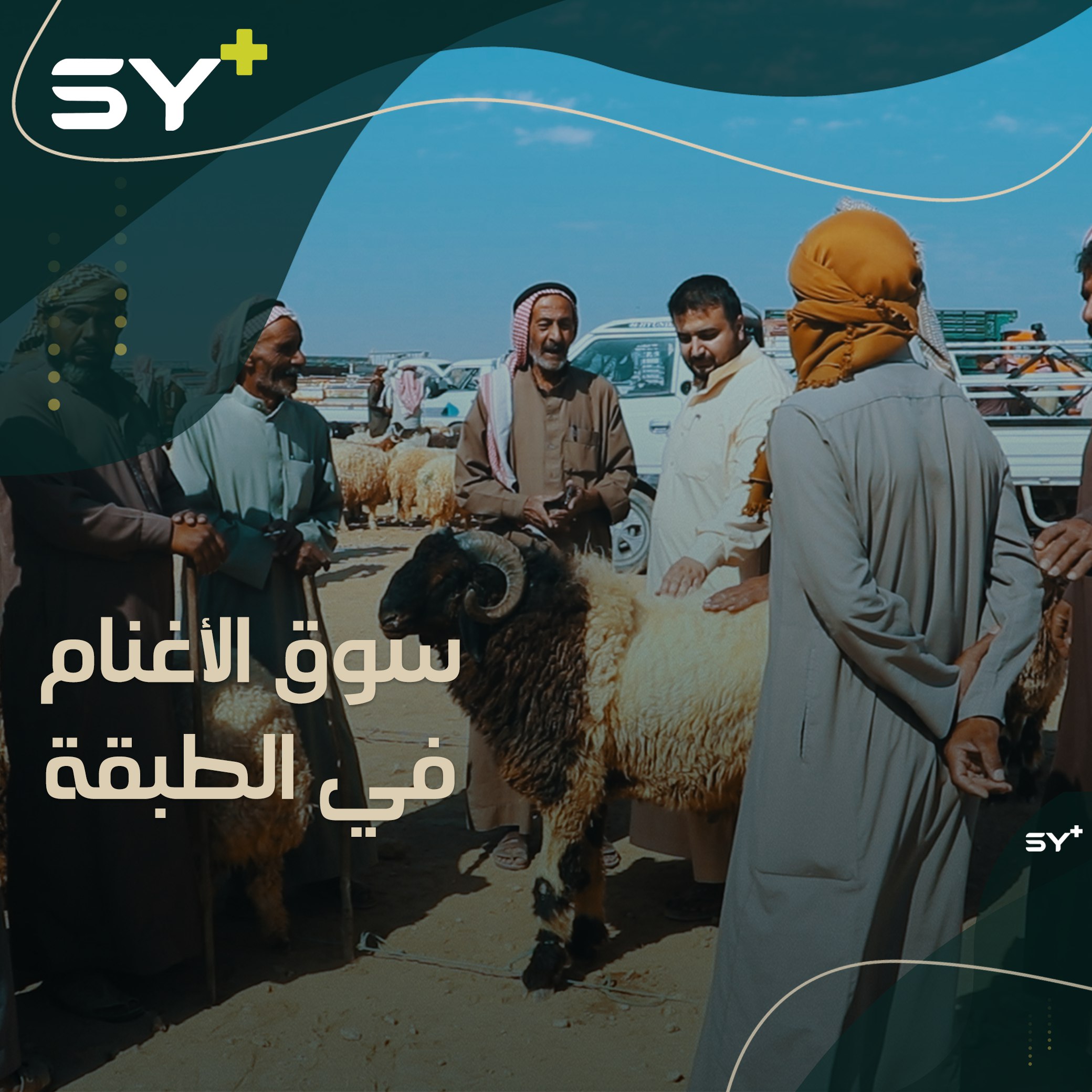 كيف يبدو سوق الأغنام بمدينة الطبقة بريف الرقة مع اقتراب عيد الأضحى؟