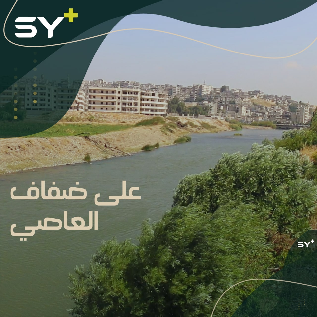 أرض مهجورة تتحول لمشروع مُنتِج.. هذا ما أنجزه بلال خلال فترة نزوحه