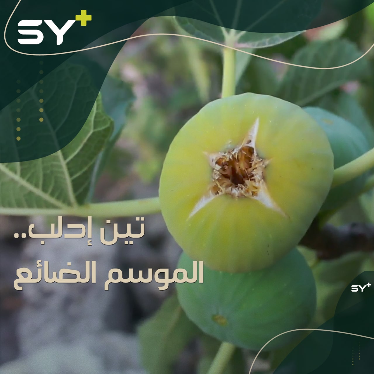 أكثر من 18 ألف مدني أُجبروا على النزوح في درعا وسط قصف مكثف وإجراءات أمنية صارمة