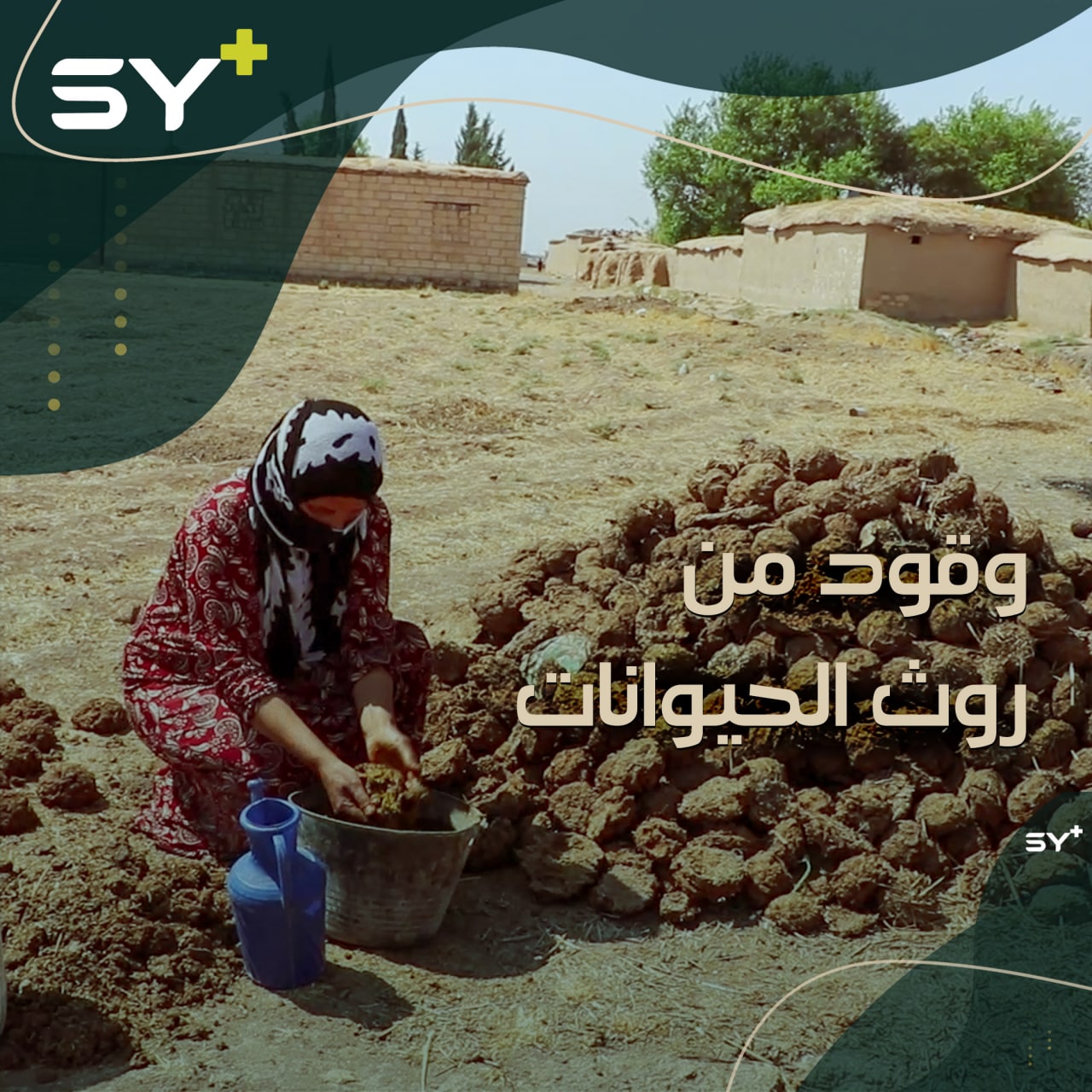 روث الحيوانات البديل الوحيد عن مواد التدفئة لدى بعض الأهالي في ريف القامشلي