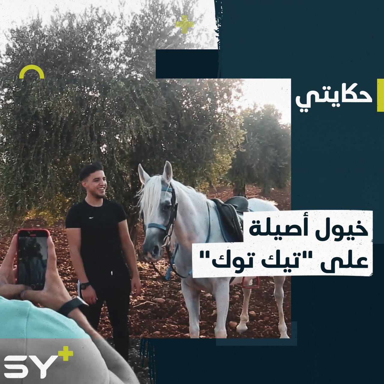 فهد يهوى تربية الخيول العربية.. يستخدم “التيك توك” ليعرِّف متابعيه على أنواعها