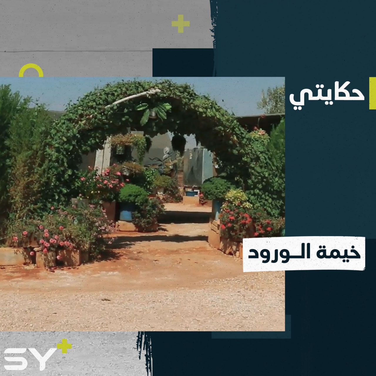 ورود ومزروعات خضراء تحوِّل خيمة يوسف إلى حديقة مصغرة