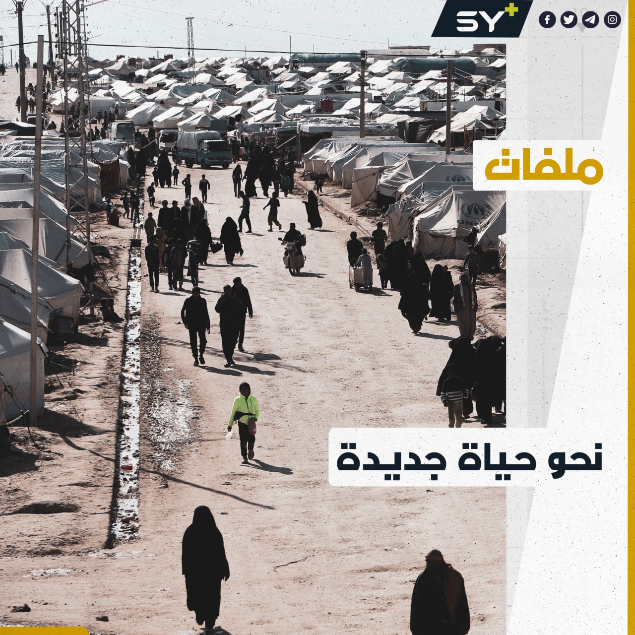 دفعة جديدة.. كم بلغ عدد العائلات السوريات التي خرجت من مخيم الهول؟