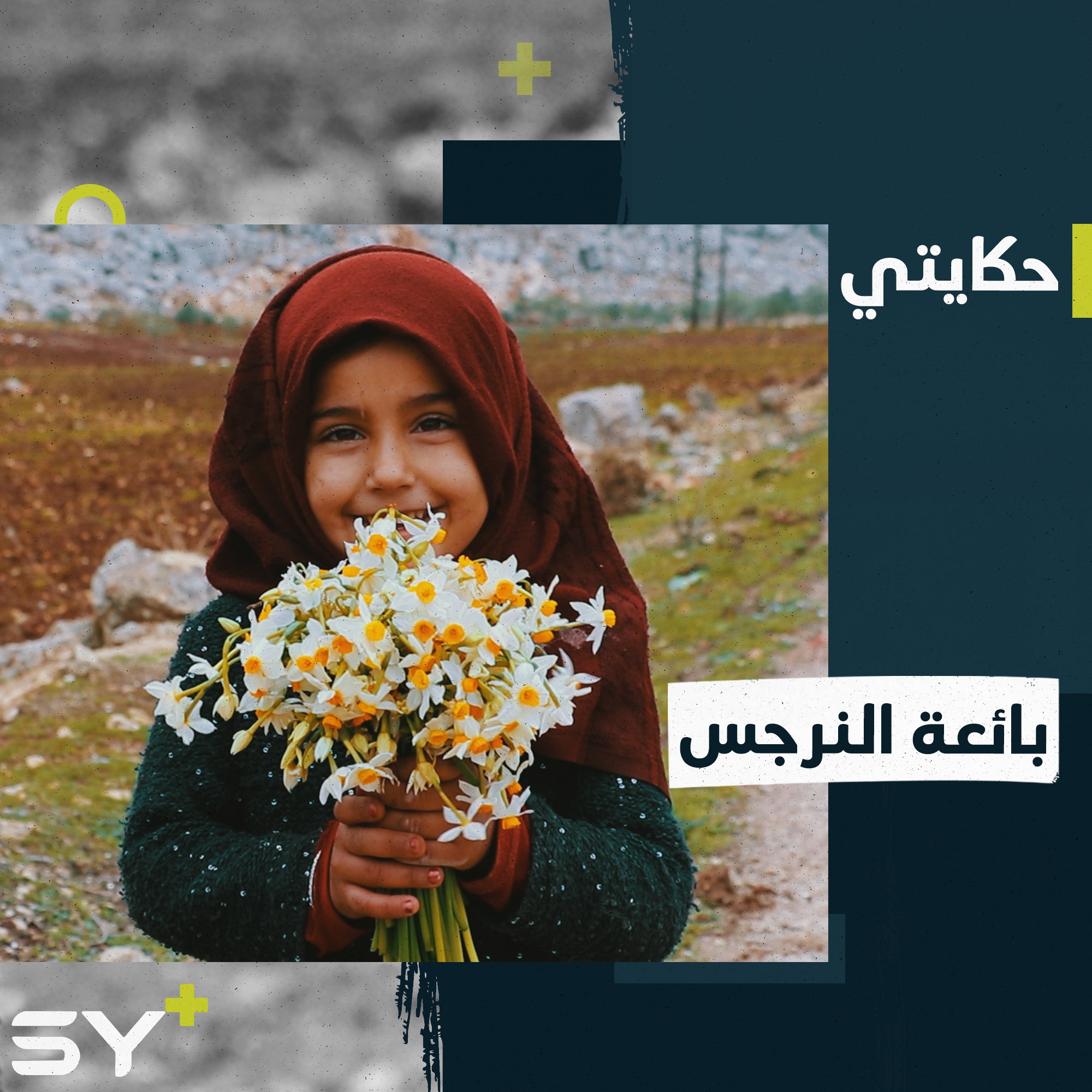 امرأة فقدت الشعور بالأمان بفقدان زوجها تعمل في قطف وبيع أزهار النرجس برفقة طفلتها مروة