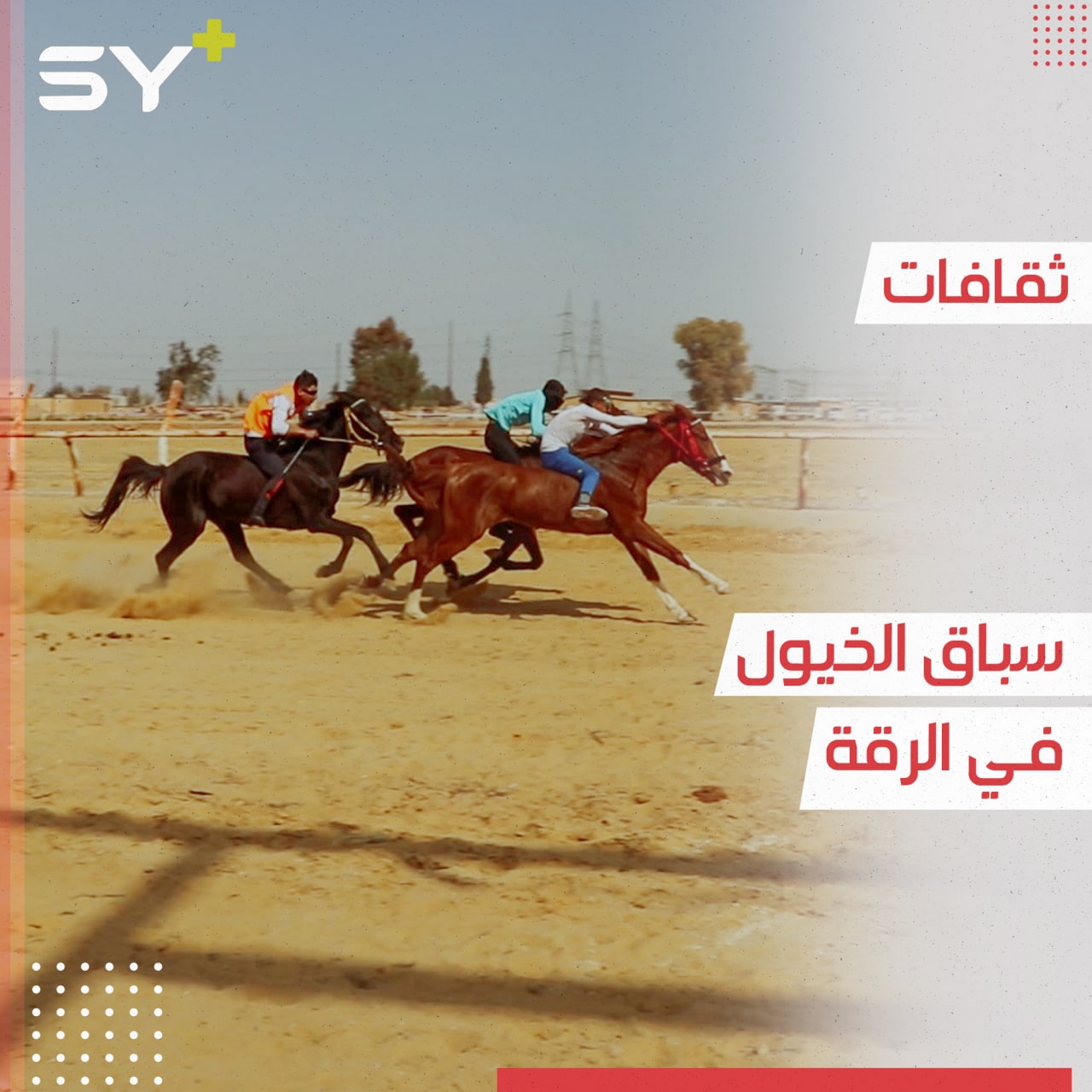عودة فعاليات سباق الخيول لإحياء تراث المنطقة العربي الأصيل في الرقة