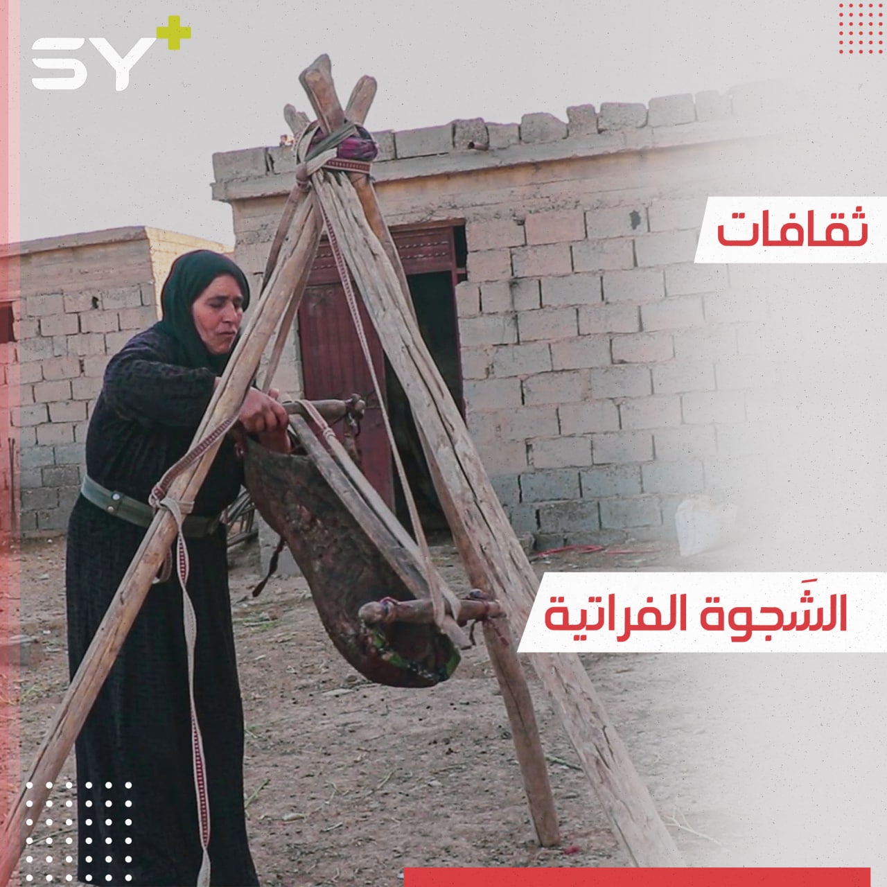 سمعتم عن طرق تصفية الحليب الحديثة… لكن هل سمعتم بالشجوة؟