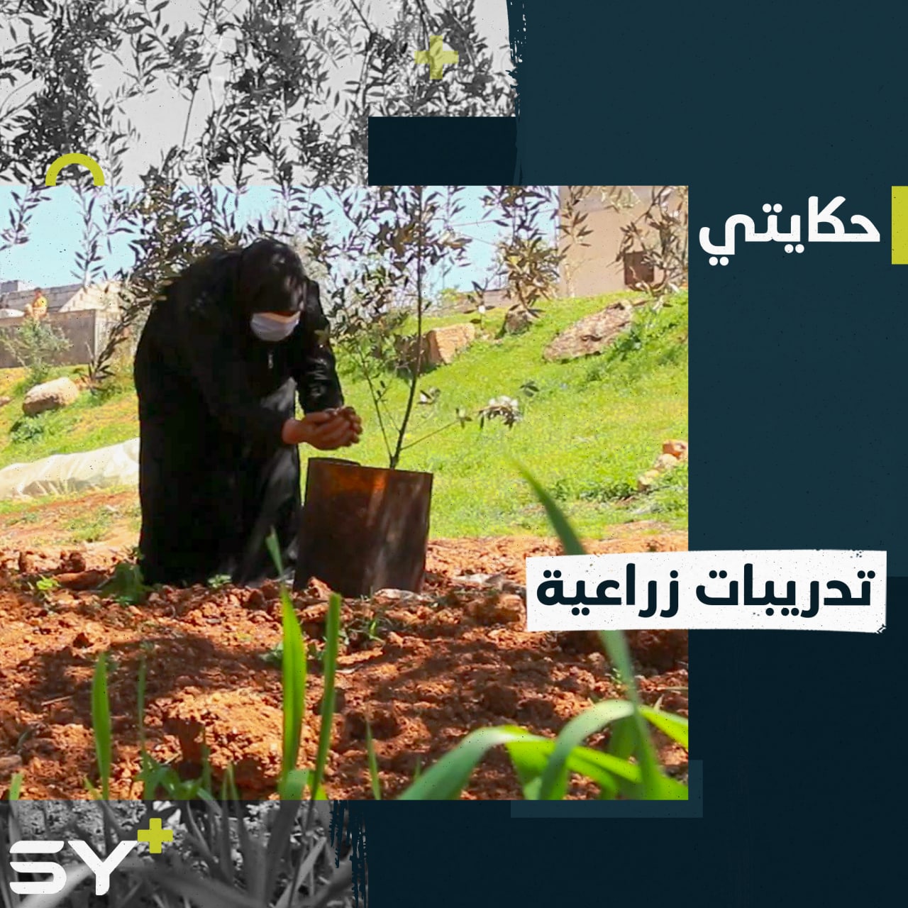 أم عارف تبدأ بالعمل في الزراعة بعد دورة تدريبية في منظمة “إحسان”