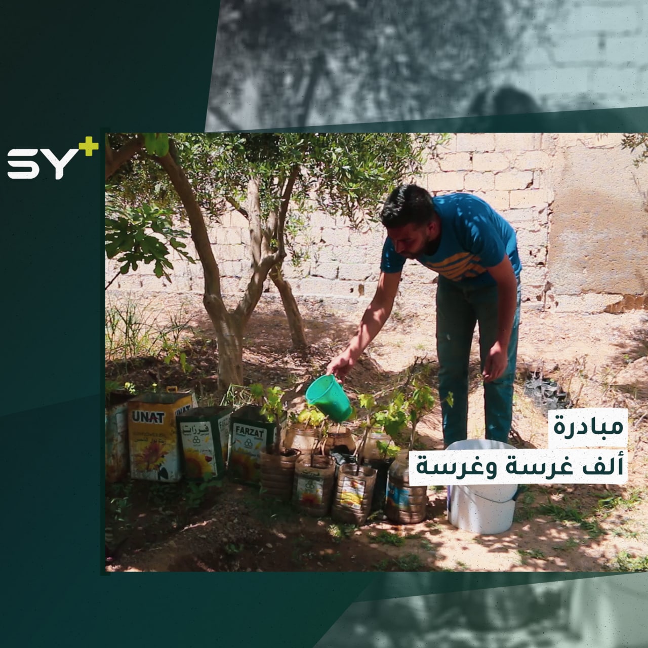 مبادرات فردية للتشجيع على الزراعة يطلقها الشاب عبد الله لتعزيز التماسك المجتمعي بين أبناء الرقة