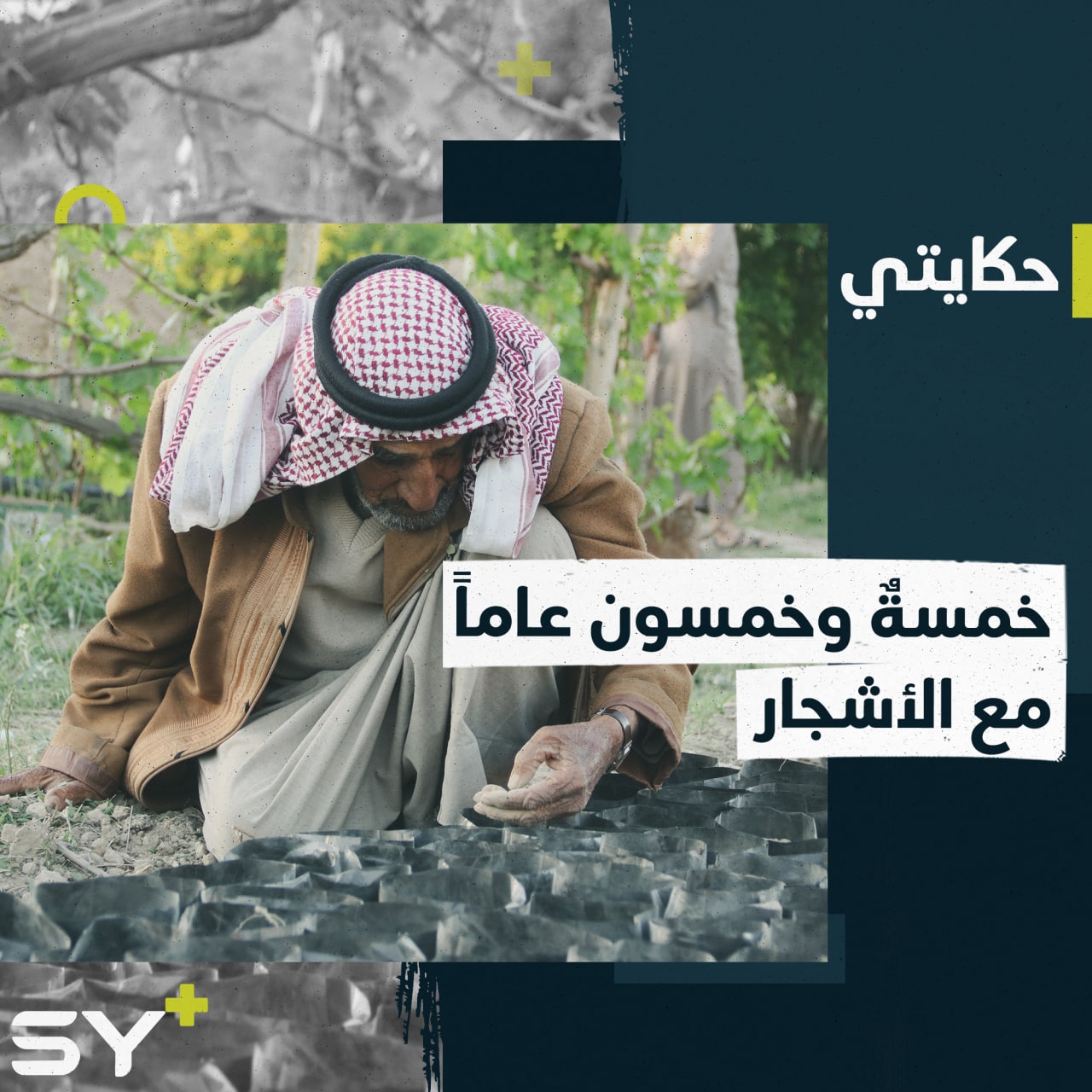 منذ 55 عاماً لم يتوقف العم عبد الرحمن عن عمله في زراعة الأشجار الحراجية… إليكم قصته