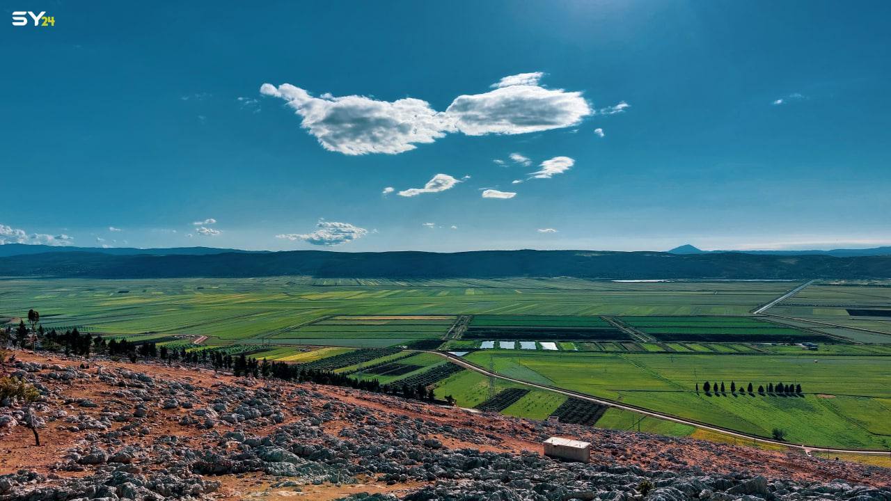 صور الربيع من سهل الروج في ريف حماة￼