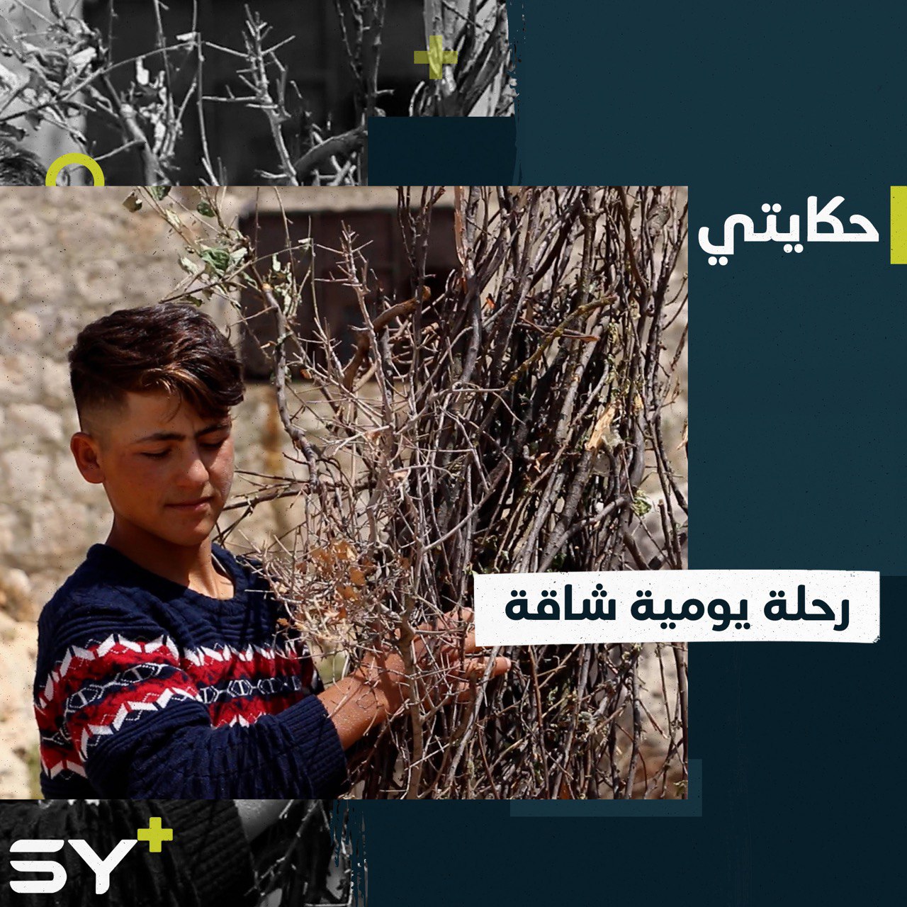 مسافات طويلة ورحلة يومية بين الصخور الوعرة يقضيها الطفل نبراس ليرعى الماعز