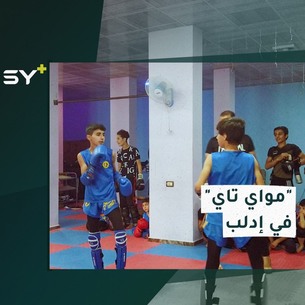 أحد الفنون القتالية ويعتمد على الخفة واللياقة البدنية.. ماذا تعرفون عن المواي تاي؟